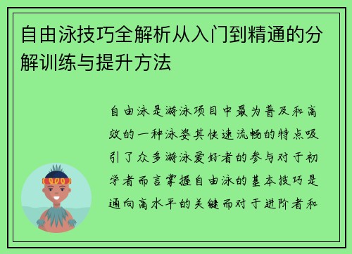 自由泳技巧全解析从入门到精通的分解训练与提升方法